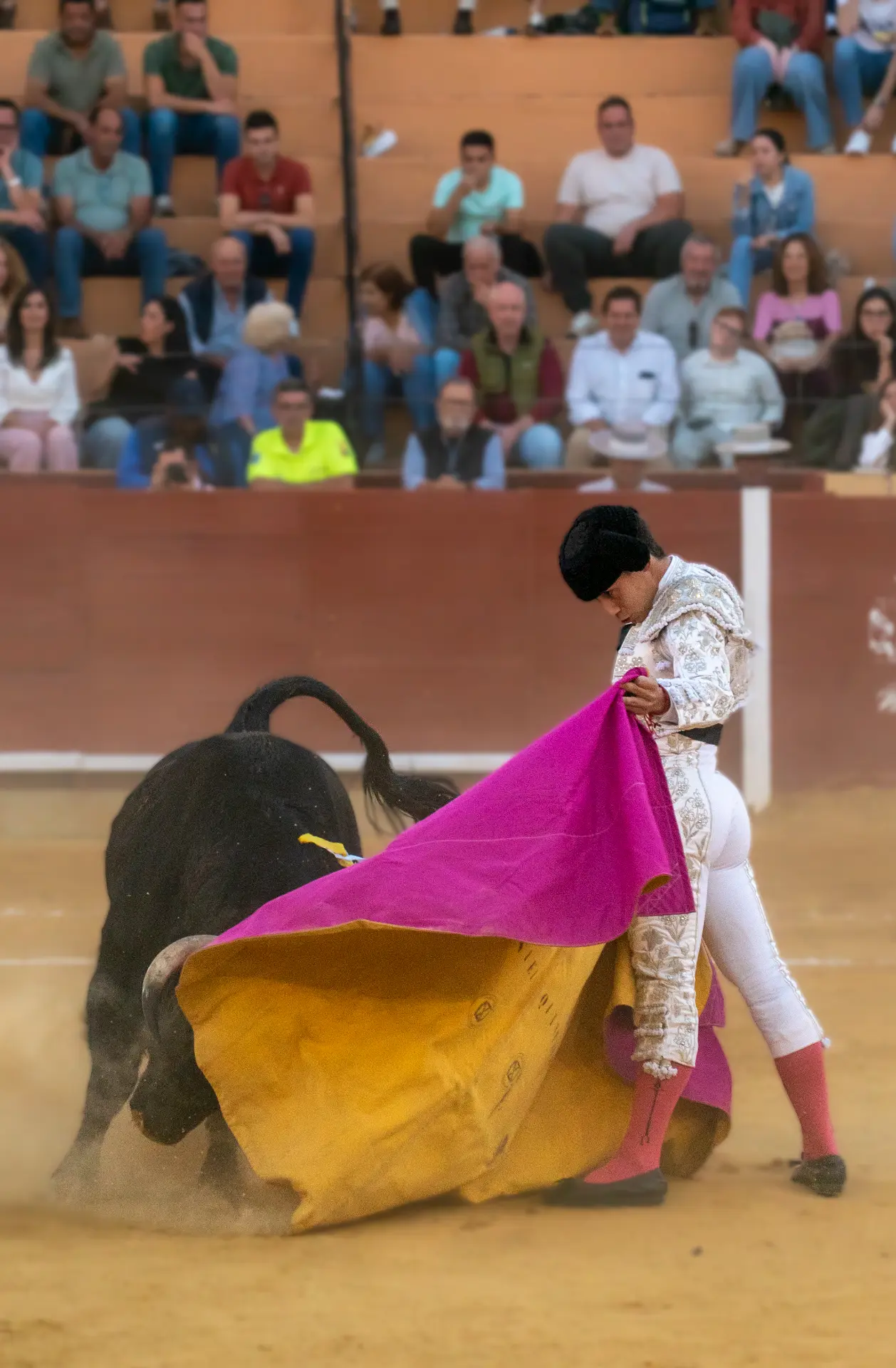 Verónicas con capote rosa — Manuel Quintana
