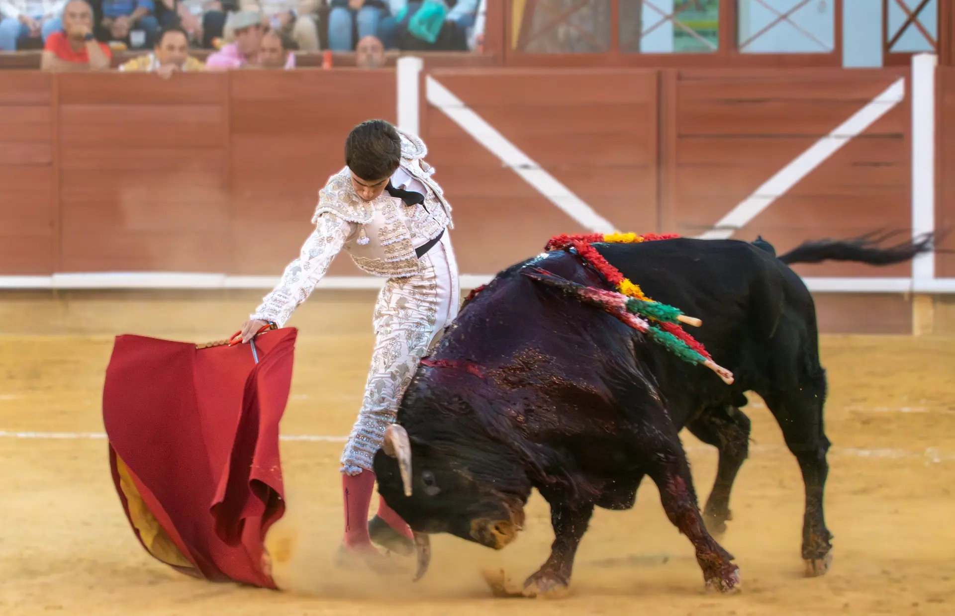 Muletazo humillado — Manuel Quintana