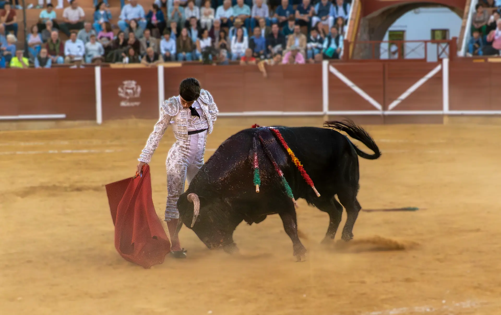 Remate de muleta — Manuel Quintana