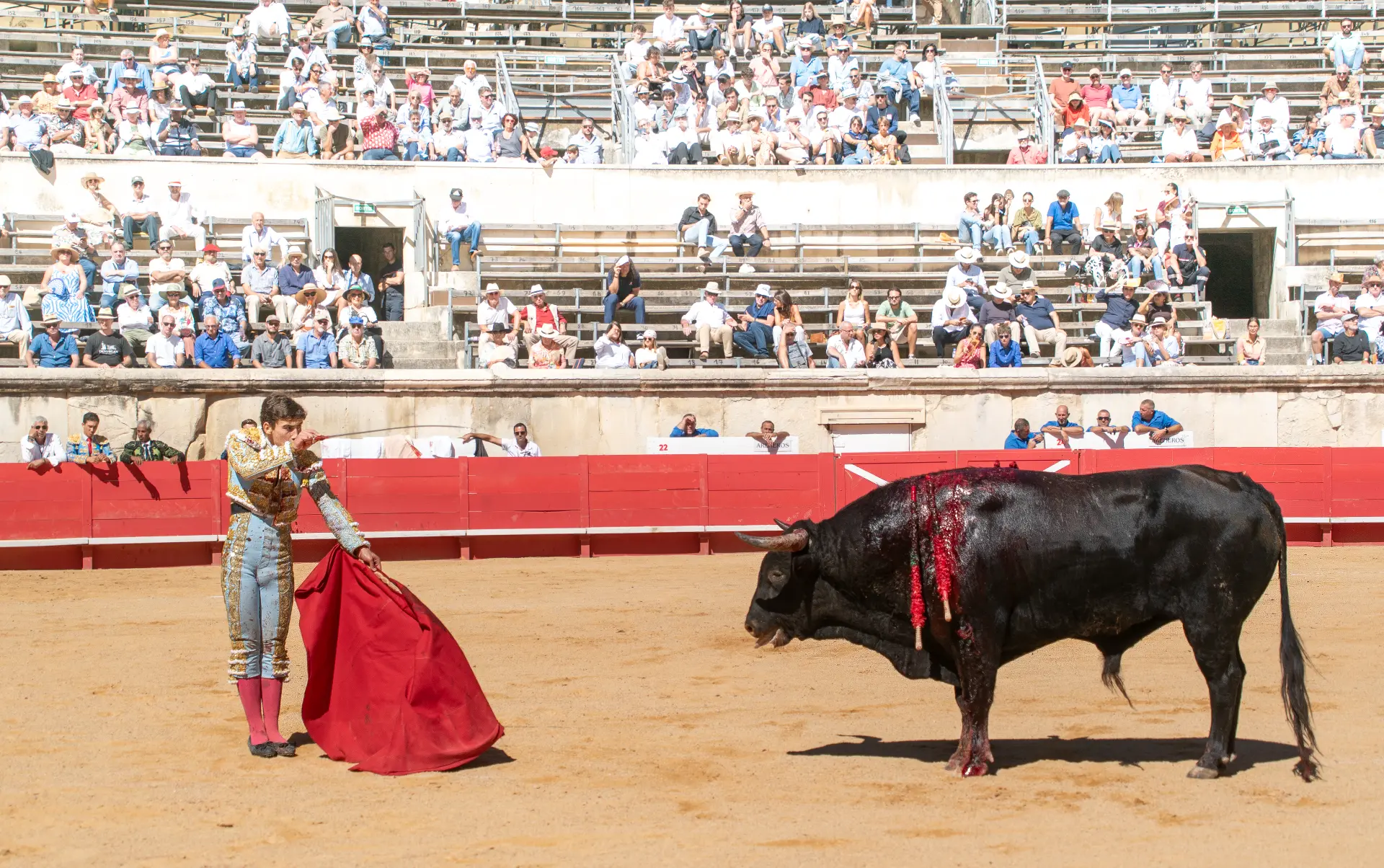 Frente al toro — Manuel Quintana