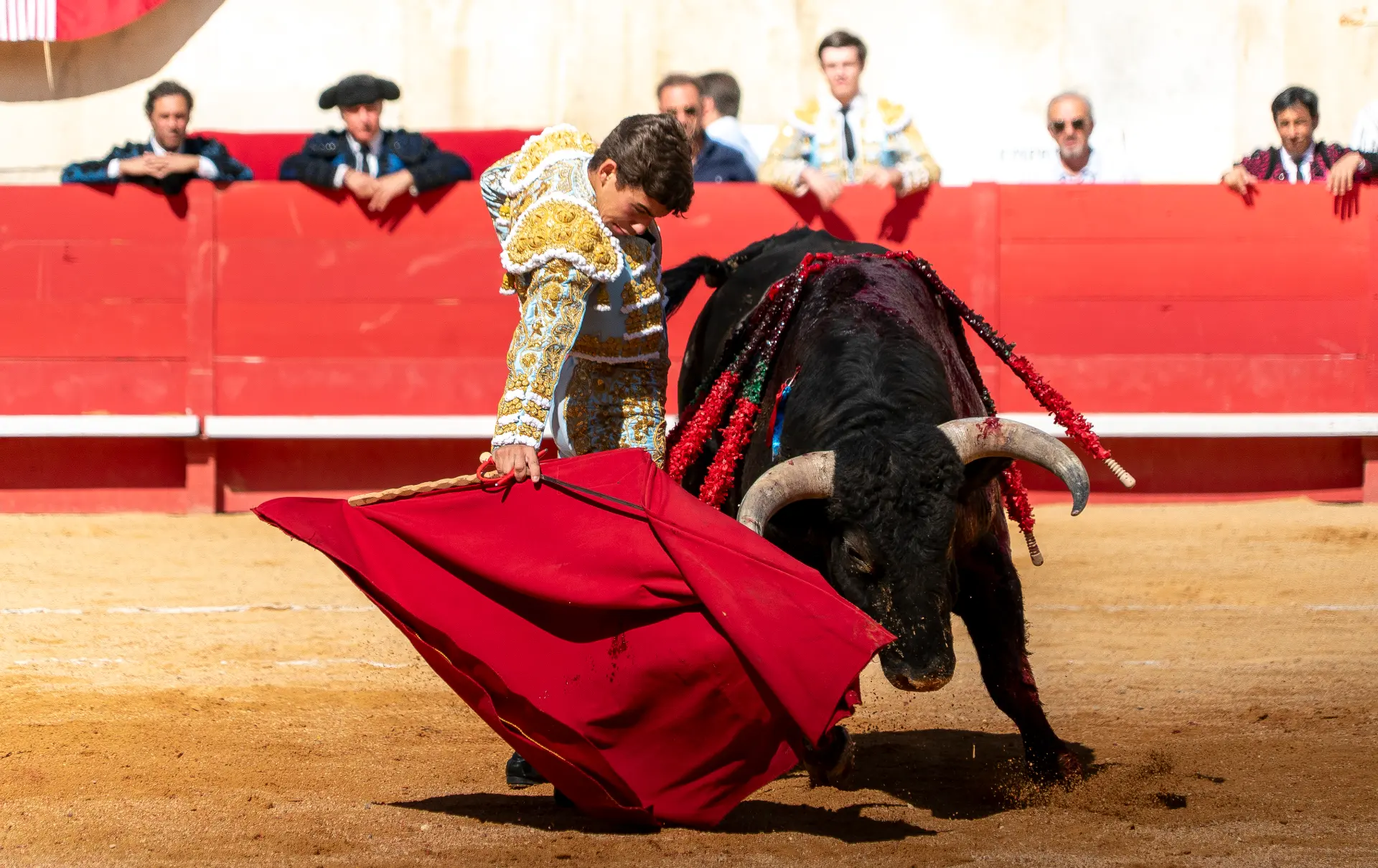Pase de muleta — Manuel Quintana