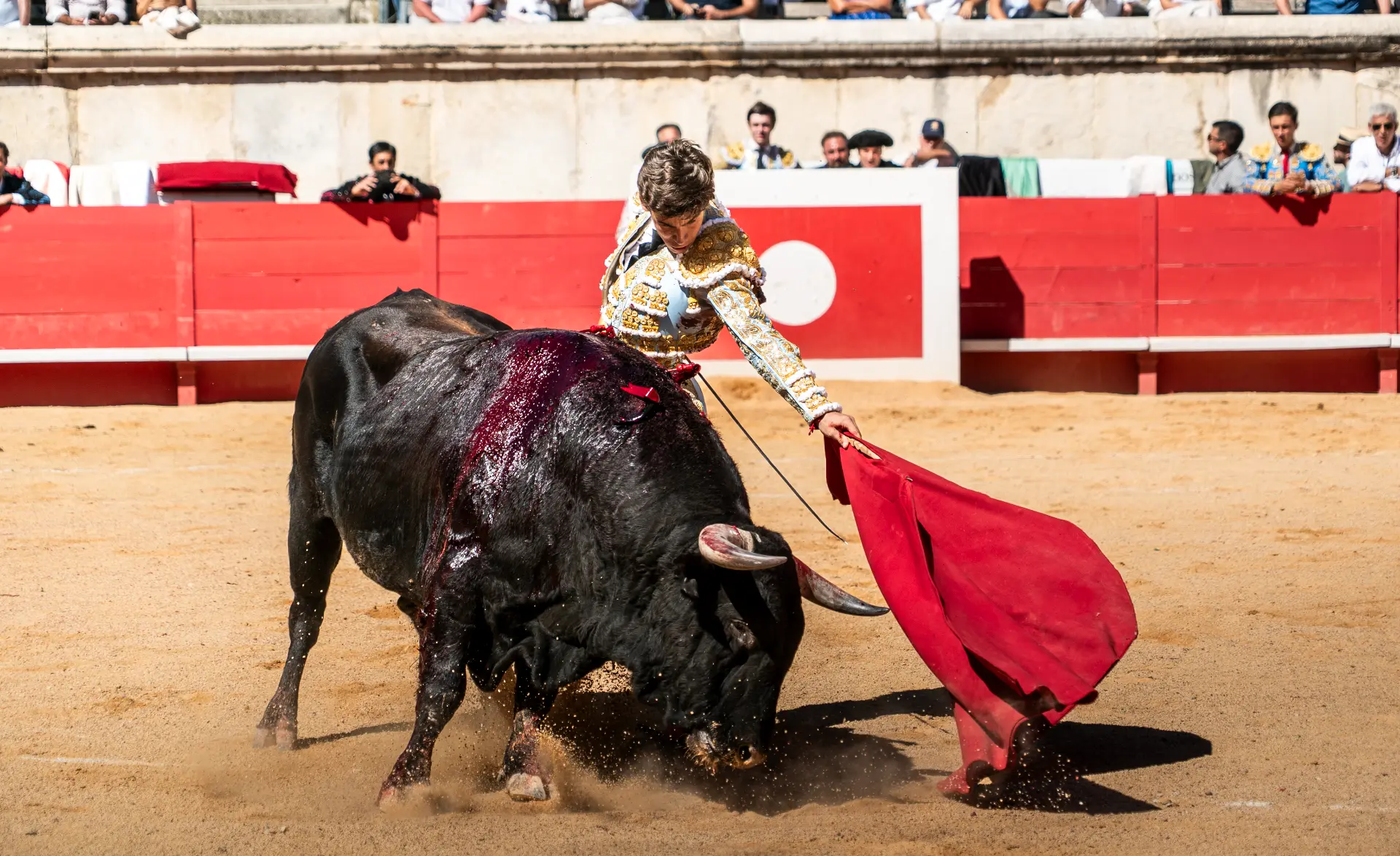 Muletazo — Manuel Quintana