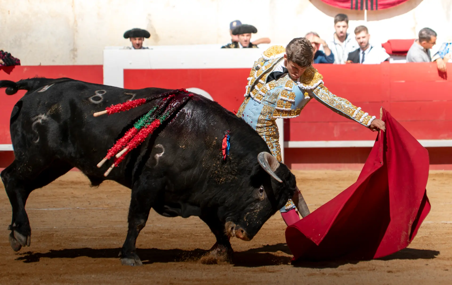 Derechazo al novillo — Manuel Quintana
