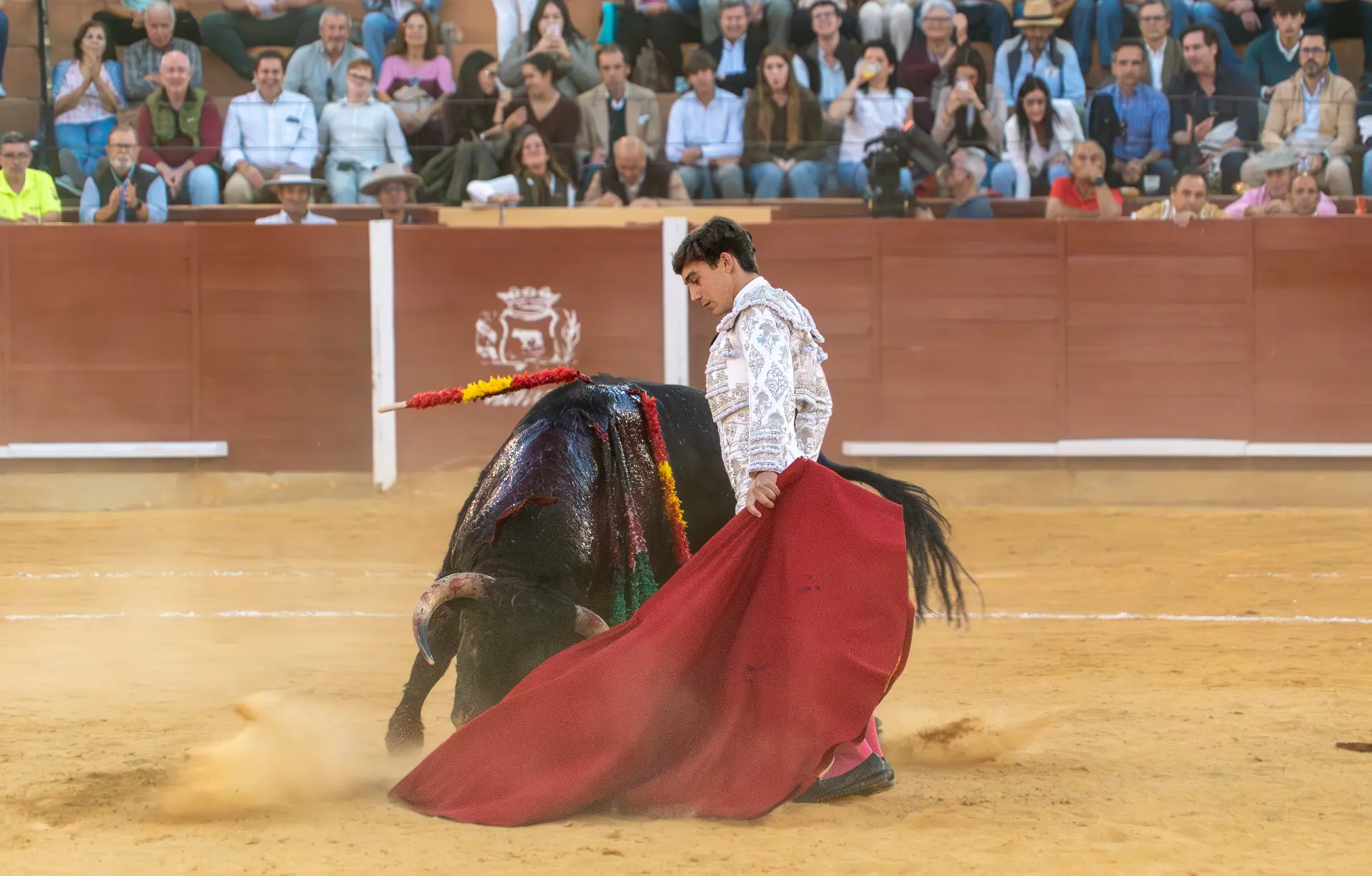 Muletazo arrastrado — Manuel Quintana